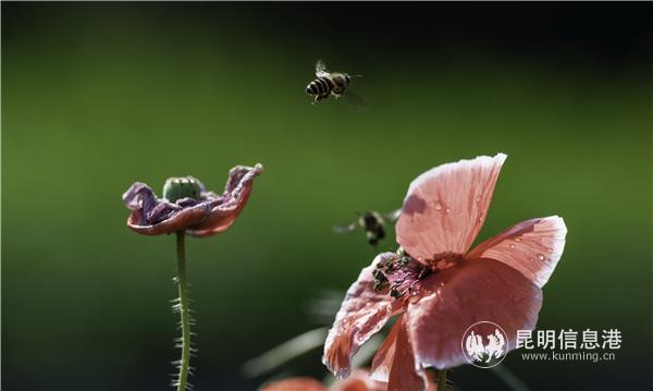 mmexport1582709883259