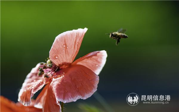 mmexport1582709907346