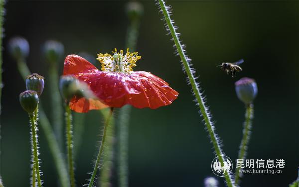 mmexport1582709937976