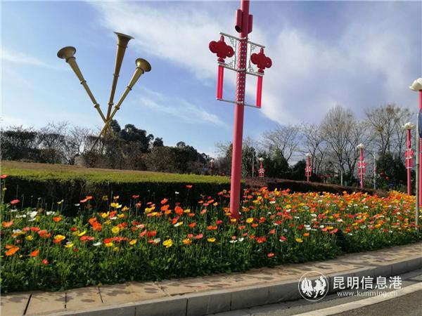 mmexport1582709968541