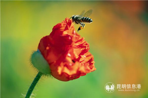 mmexport1582709980978