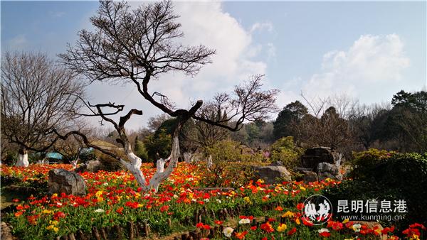 mmexport1582710651346