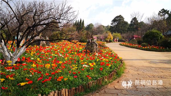 mmexport1582710660464