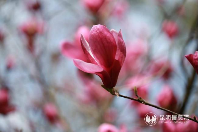 mmexport1582735978978