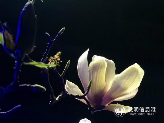 weixintupian_20200227170438