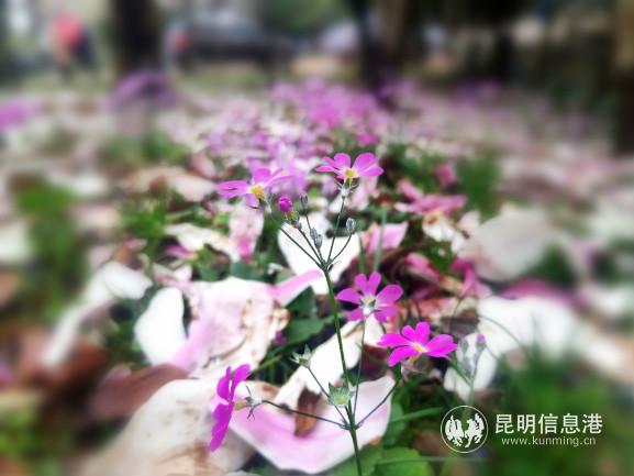 weixintupian_20200227200354