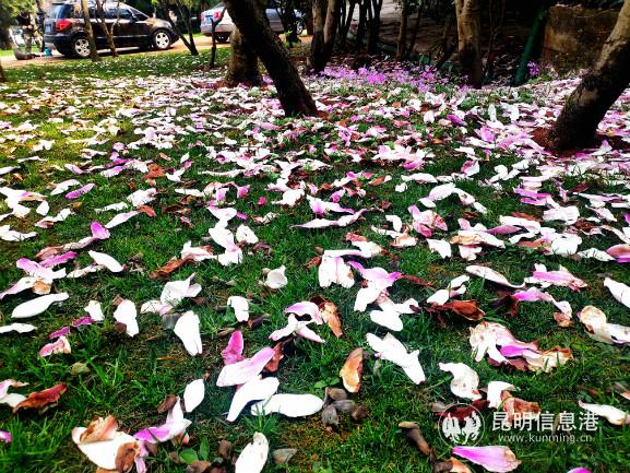 weixintupian_20200227200411