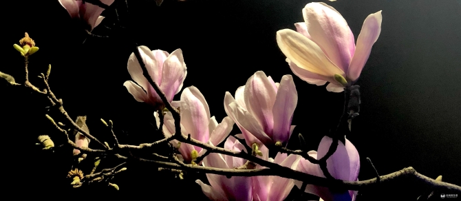 微信圖片_20200227170418