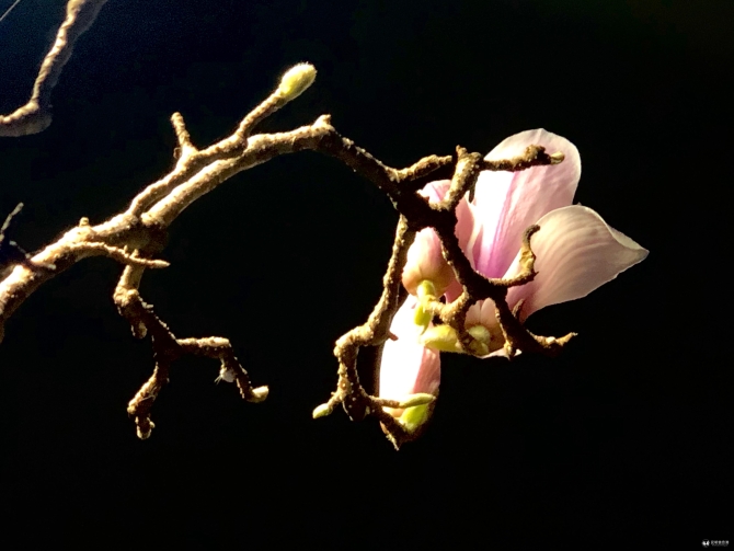 微信圖片_20200227170458