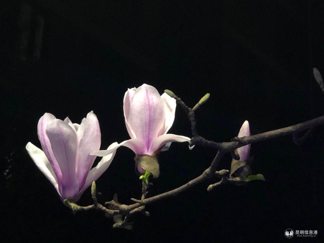 微信圖片_20200227170508