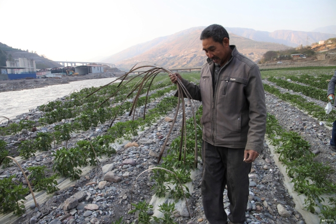 微信圖片_20200228111012