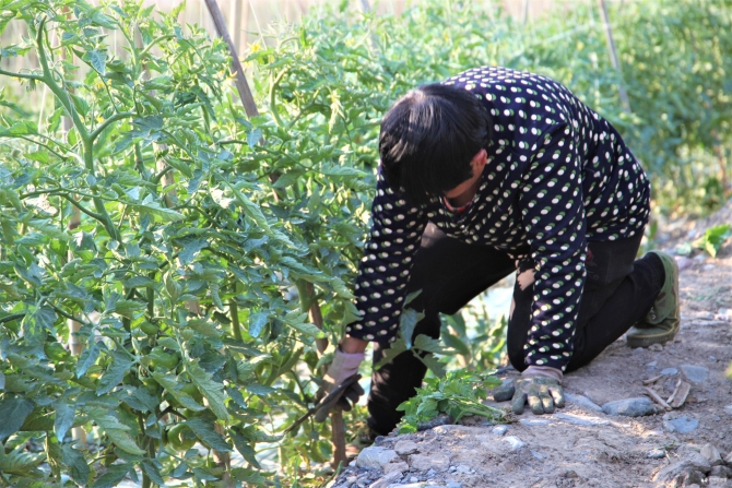 微信圖片_20200228111008