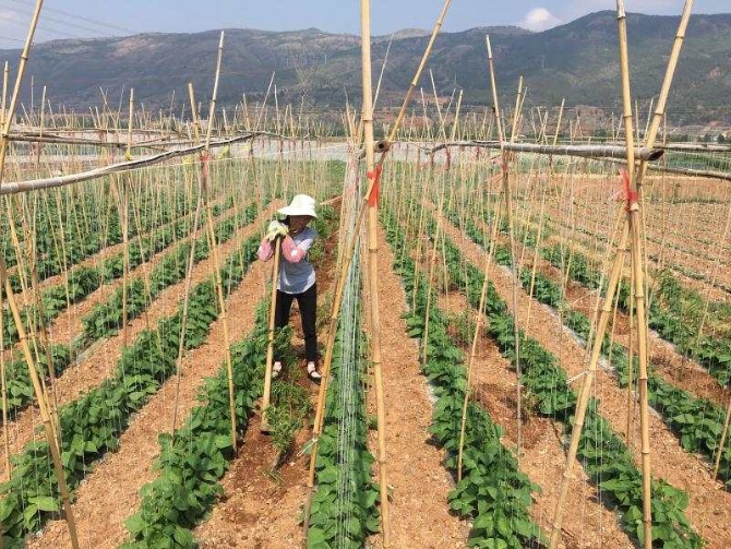 微信圖片_202002281431241 微信圖片_202002281431241