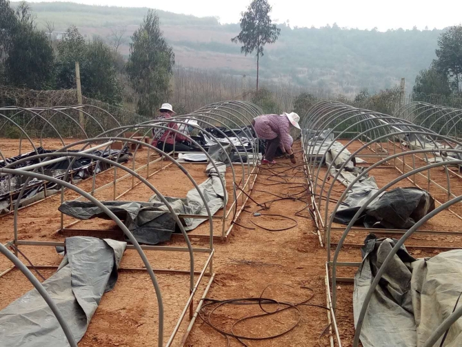 微信圖片_202002281431244 微信圖片_202002281431244