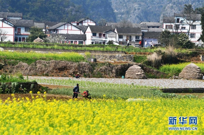 （在習近平新時代中國特色社會主義思想指引下——新時代新作為新篇章·習近平總書記關切事·圖文互動）（1）確保不誤農(nóng)時，保障夏糧豐收——各地抓好春耕生產(chǎn)在行動