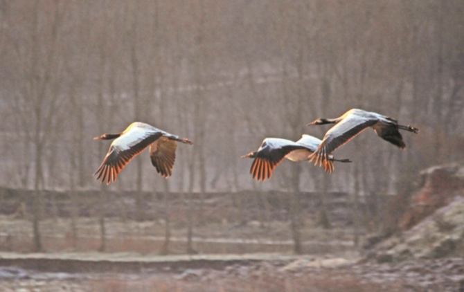 WX20200229-092240@2x WX20200229-092240@2x