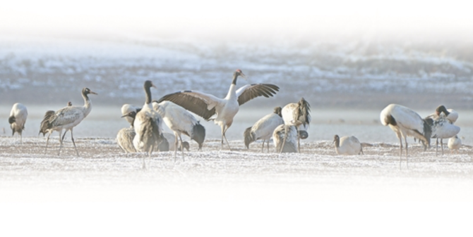 WX20200229-092253@2x WX20200229-092253@2x