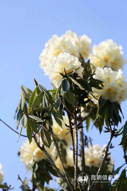 mmexport1582901257176