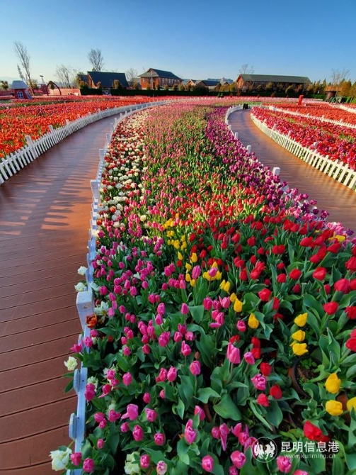 微信圖片_20200302173916 微信圖片_20200302173916