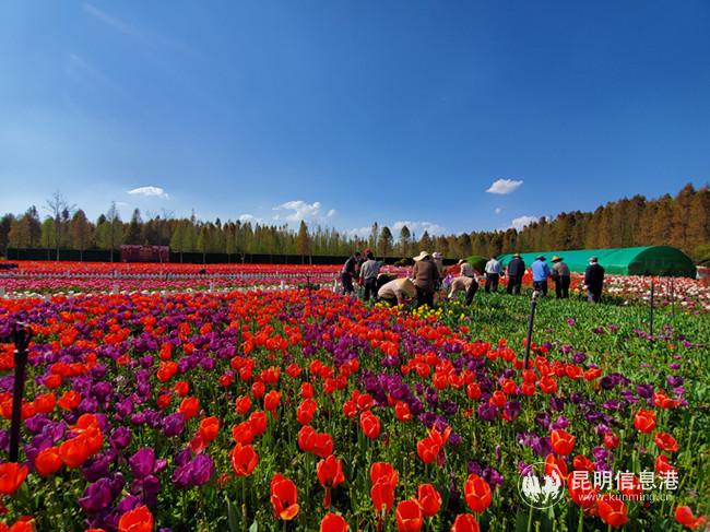 微信圖片_20200302173901 微信圖片_20200302173901