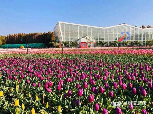 微信圖片_20200302174206 微信圖片_20200302174206