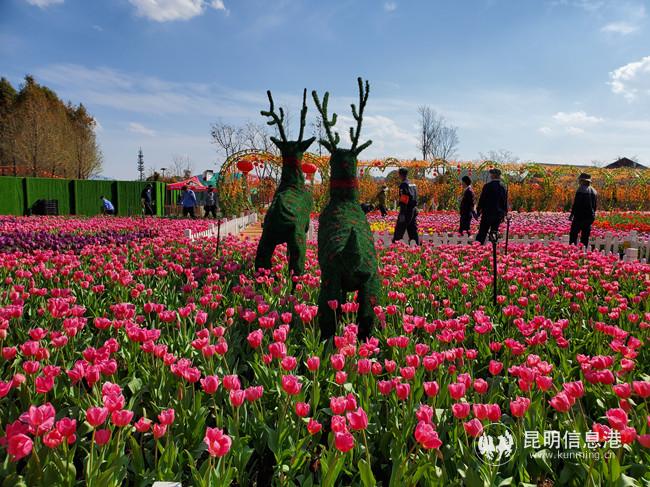 微信圖片_20200302173834 微信圖片_20200302173834