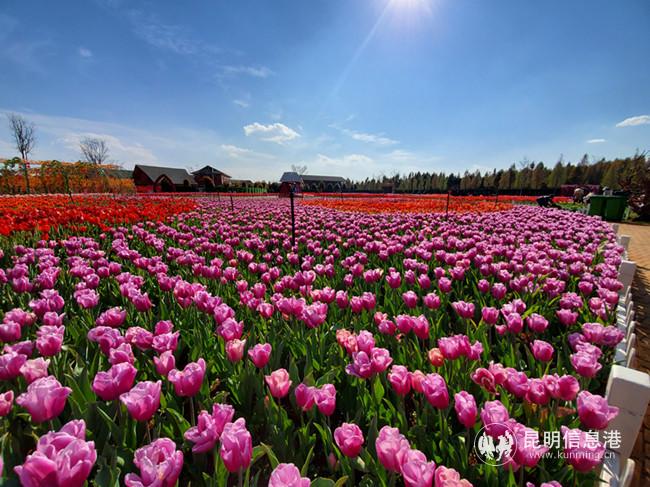 微信圖片_20200302173848 微信圖片_20200302173848