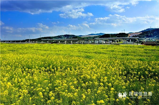 自3月1日起，云南鐵路梯次恢復(fù)旅客列車開行。通訊員鄧瑜 徐繼發(fā) 供圖2