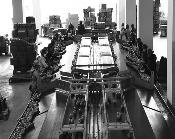 QQ截圖20200305092608 QQ截圖20200305092608