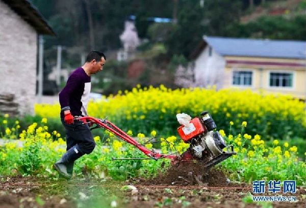 f44d305ea0ab1fc9e3775f f44d305ea0ab1fc9e3775f