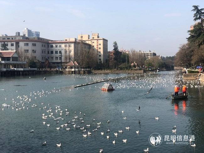 打撈河道內(nèi)垃圾。