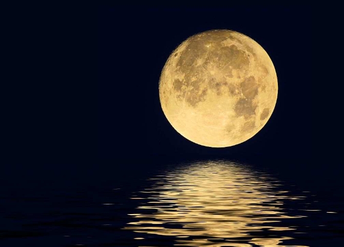 3515834231015970006_420221701138149376 3515834231015970006_420221701138149376