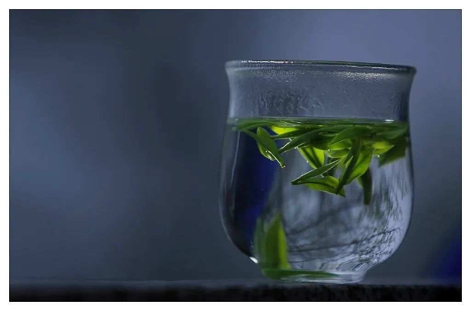 3515834231015970006_420221702211891200 3515834231015970006_420221702211891200