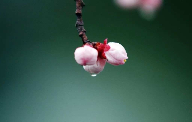 3515834231015970006_420221703436627968 3515834231015970006_420221703436627968