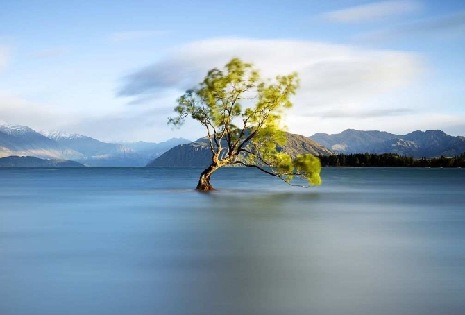 3515834231015970006_420221710399172608 3515834231015970006_420221710399172608