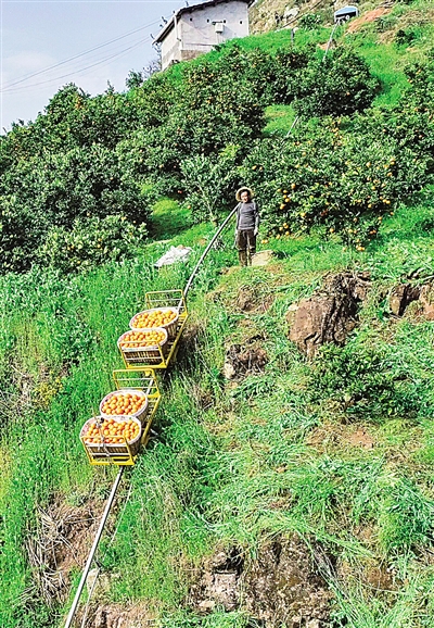 來自湖北田間地頭的報道——驚蟄荊楚聽春聲