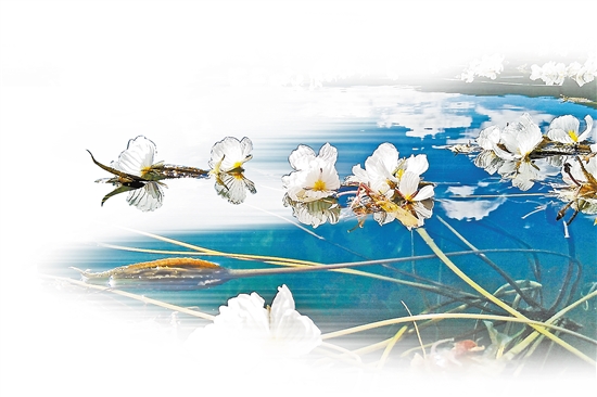 2020030707_res15_attpic_brief 2020030707_res15_attpic_brief