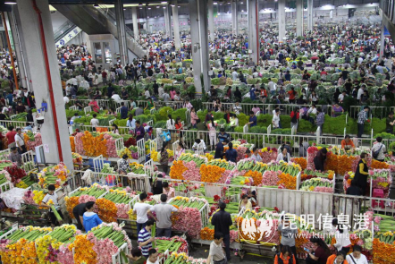 b76588564e5ed934bcb961f80eb2983