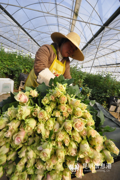 fa48c95c4a793b43081785a850cd795