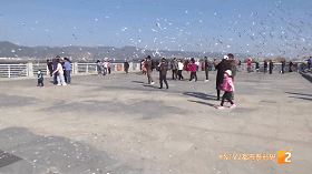 昆明景區(qū)恢復(fù)開放