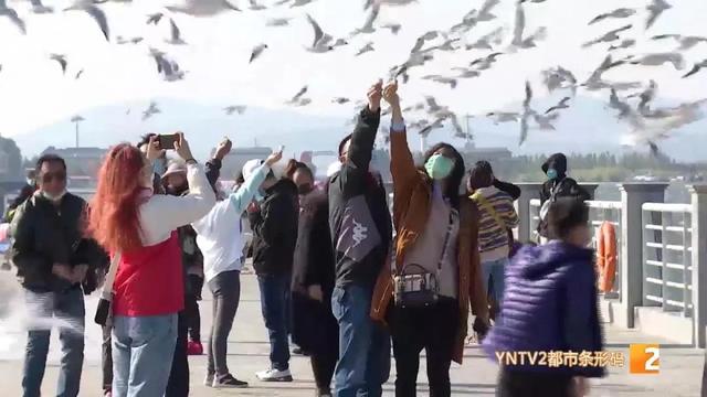 昆明景區(qū)恢復(fù)開放