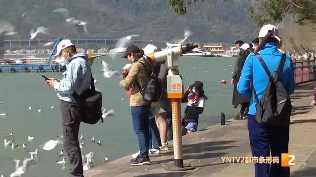 昆明景區(qū)恢復(fù)開放