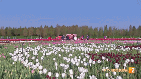 昆明景區(qū)恢復(fù)開放