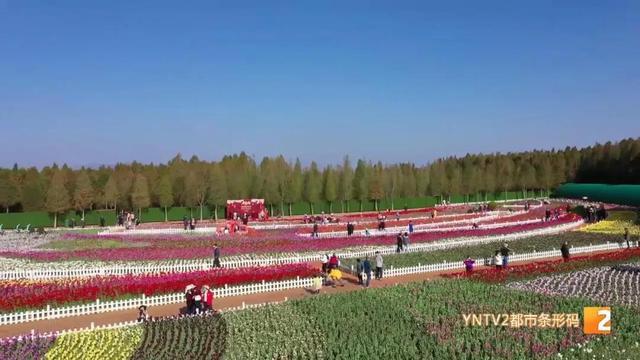 昆明景區(qū)恢復(fù)開放