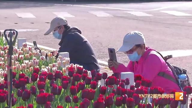 昆明景區(qū)恢復(fù)開放