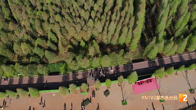 昆明景區(qū)恢復(fù)開放