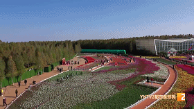 昆明景區(qū)恢復(fù)開放