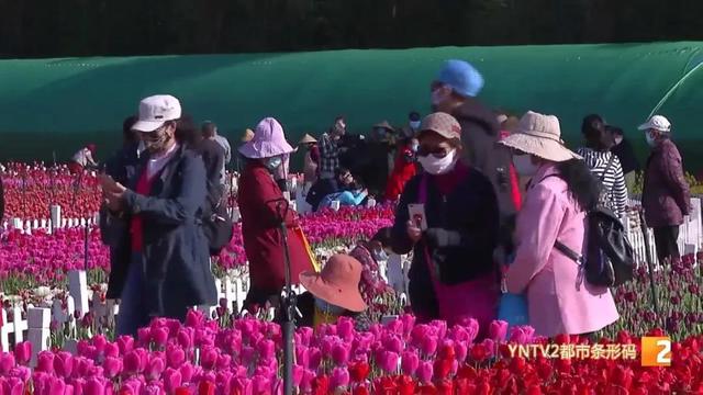 昆明景區(qū)恢復(fù)開放