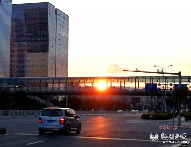 圖片3 投稿作品《迎著晚霞回家》 圖片3 投稿作品《迎著晚霞回家》