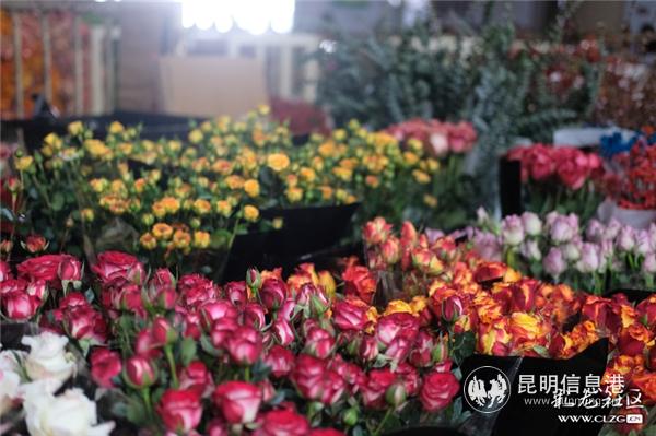 彩龍社區(qū)網(wǎng)友@大漠蒼狼 拍攝5